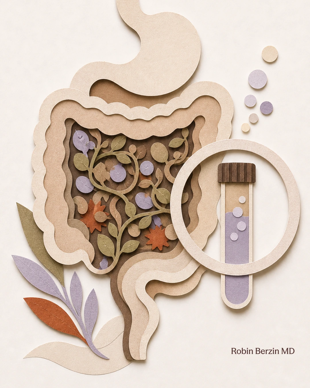 Should you get a SIBO test? editorial cut-paper collage illustration
